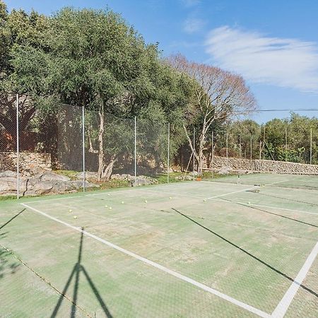 Can Romani Pollença Exteriér fotografie